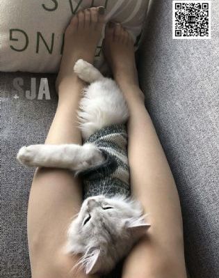 电影终极名单在线观看-日语中字日韩成人在线